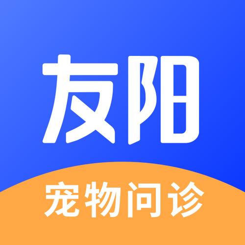 网络技术的研发;应用软件开发;计算机技术开发,技术服务;计算机技术
